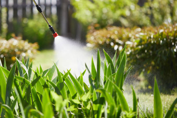 24/7 Emergency Mosquito Control experts in Cross Plains, WI